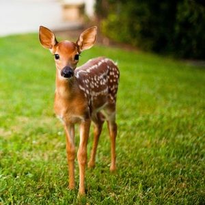 Meet your Posher, Whitney